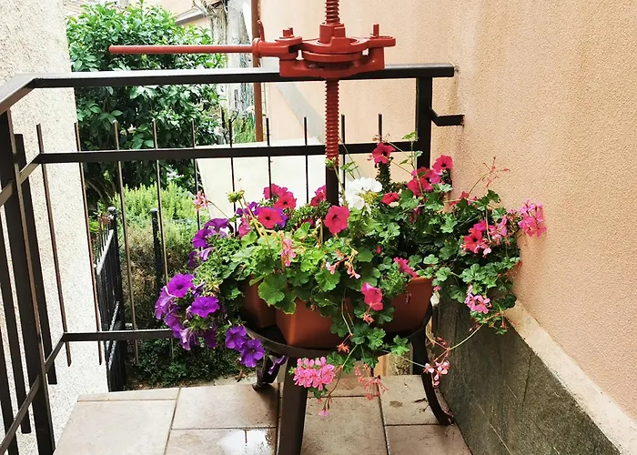 Casa Vacanze Belvedere