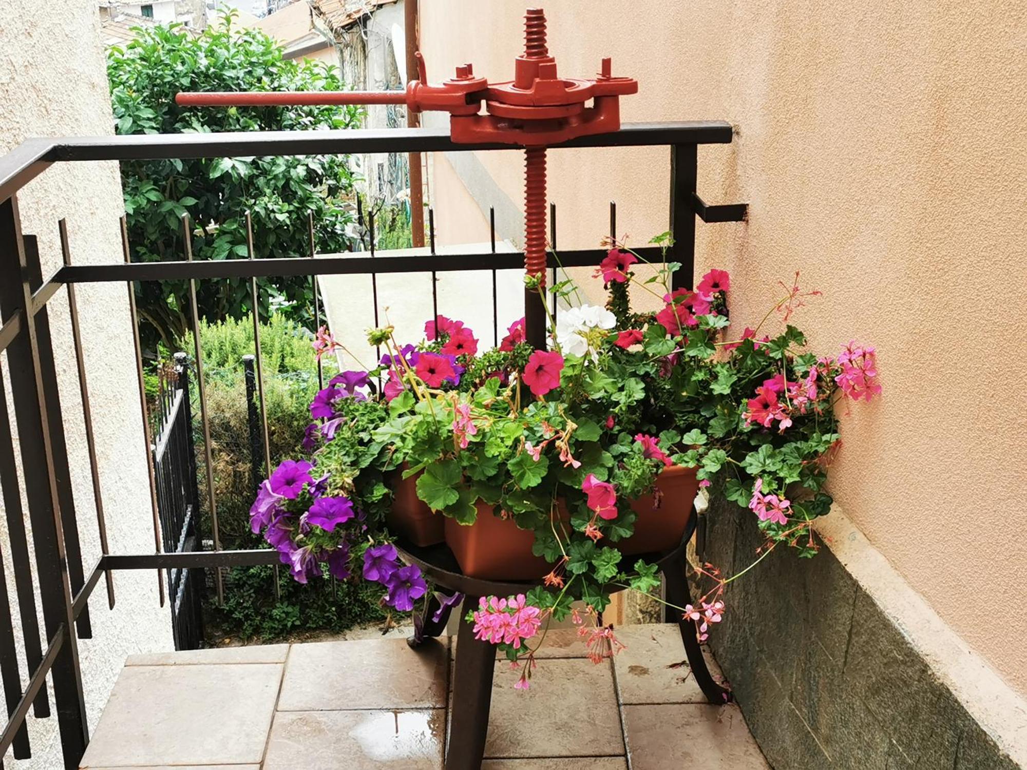 Holiday home Belvedere Biassa